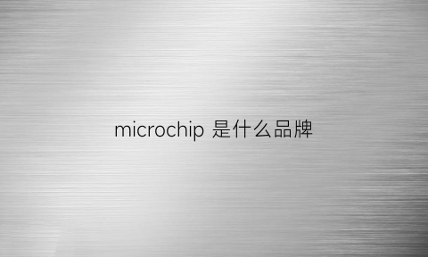 microchip是什么品牌(microchip什么意思)